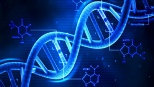 Our DNA
